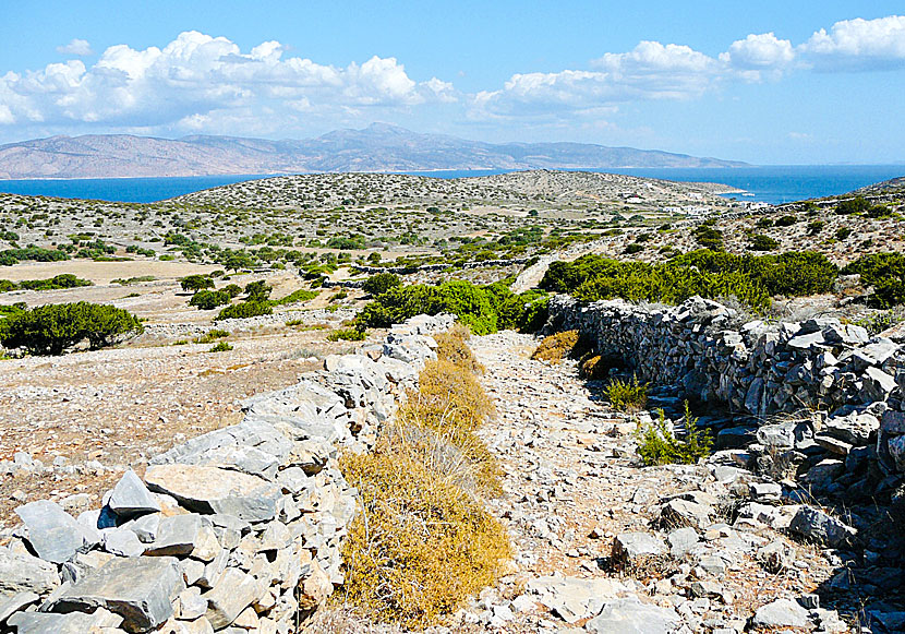 The path from Agios Georgios to Panagia and Agios Ioannis in Iraklia.