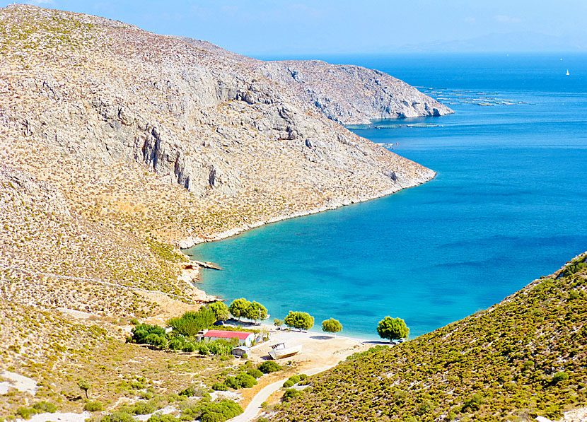 Taverna and shady tamarisk trees on Akti beach.