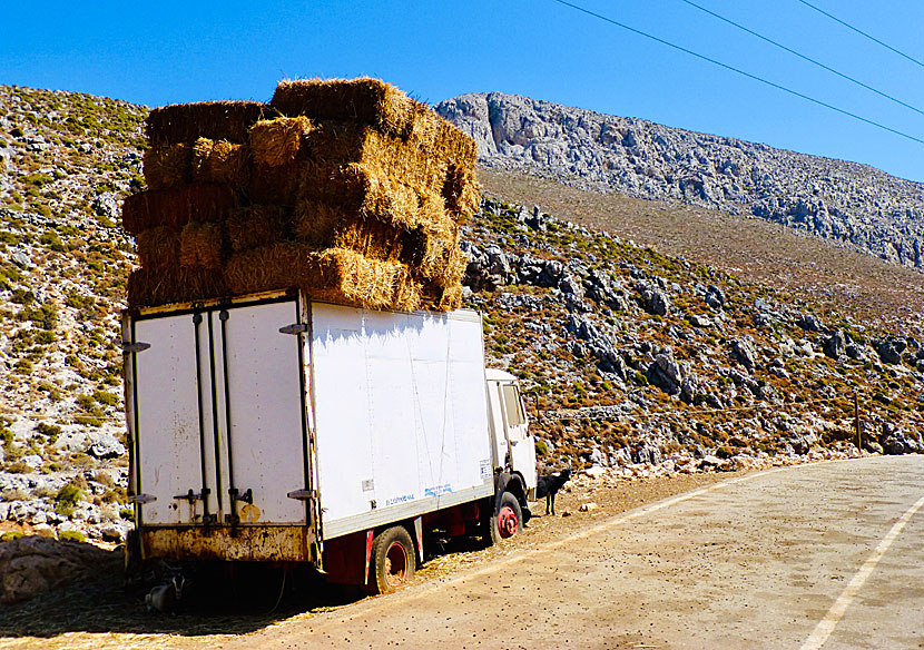 What is it like to drive a car and scooter on the island of Kalymnos in the Dodecanese?