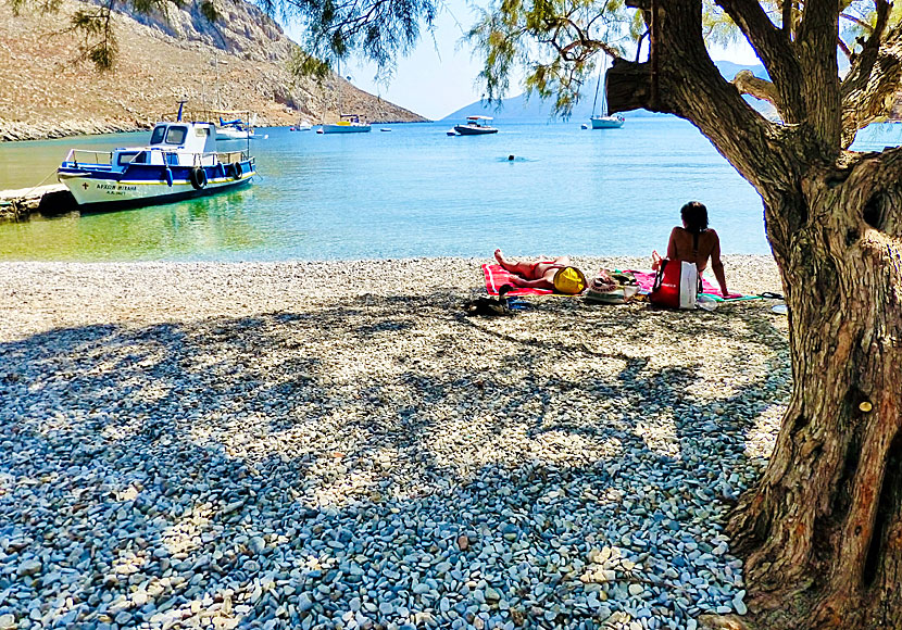 Palionisos beach on Kalymnos. There is plenty of shade under the tamarisk.