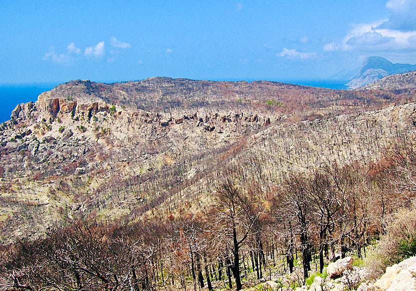 Forest fires on the island of Karpathos in Greece.