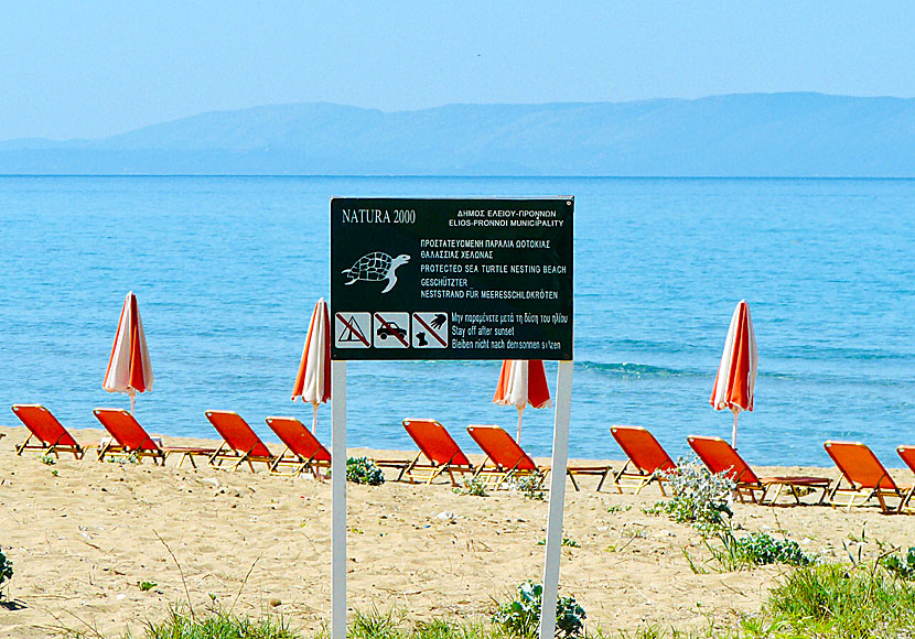 Caretta Caretta. Kefalonia.