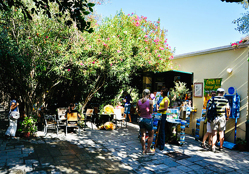 Guided tours around Asklepion on Kos can be found starting at the small cafe.