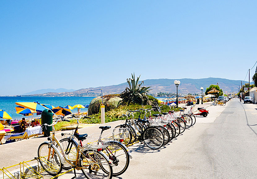 Cycle to Lambi beach in Kos town.