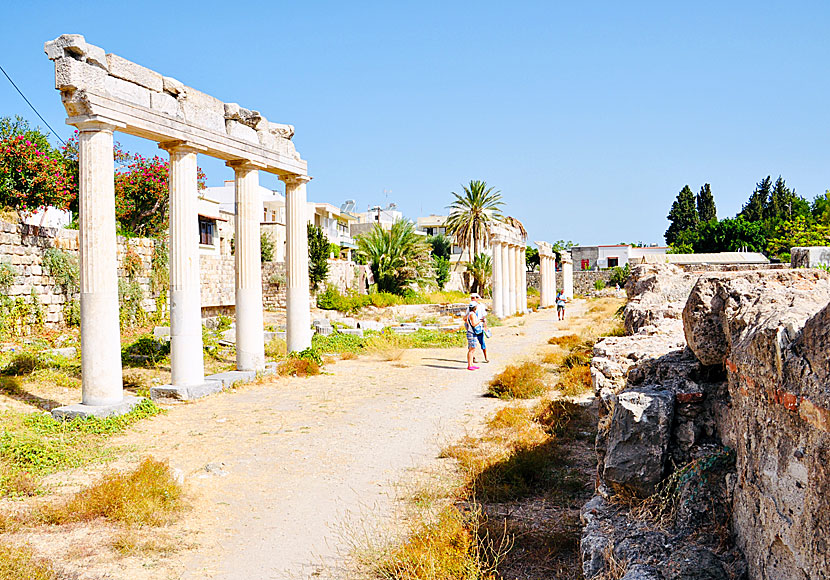 Columns from an old gymnasium in Kos Town.