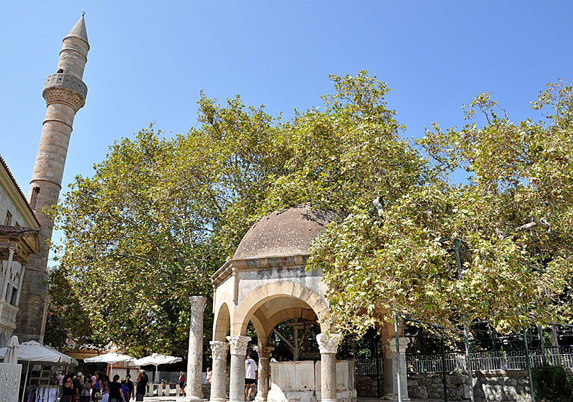 Hippocrates tree and the Ottoman fountain in Kos Town.