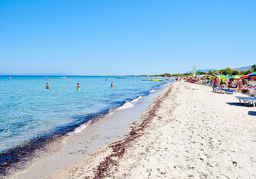 The best beaches on Kos. Tigaki beach.