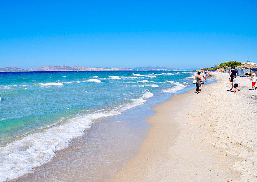 The best beaches on Kos. Tam Tam beach.