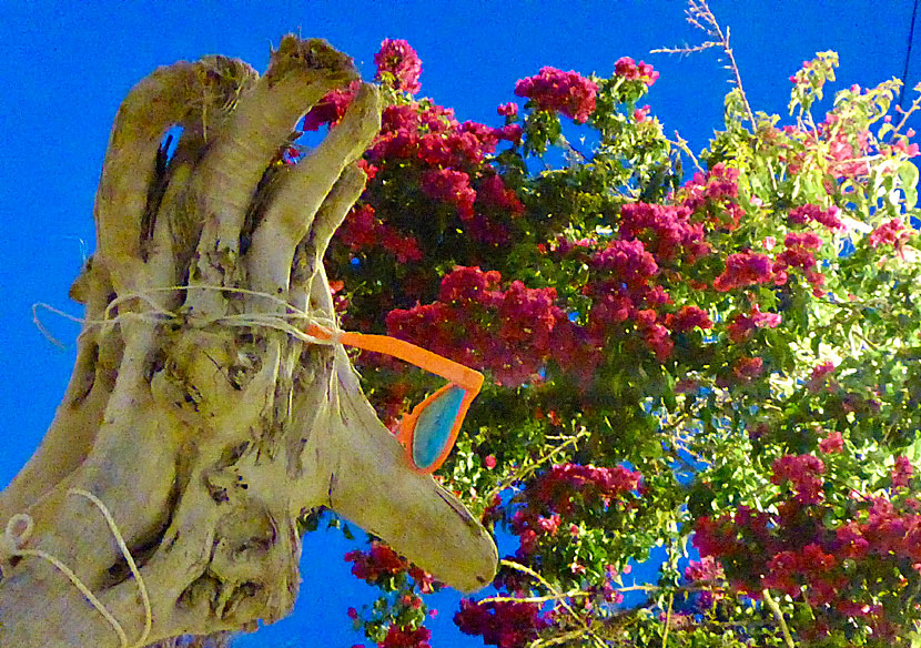 Flowers and other plants at Koufonissi.