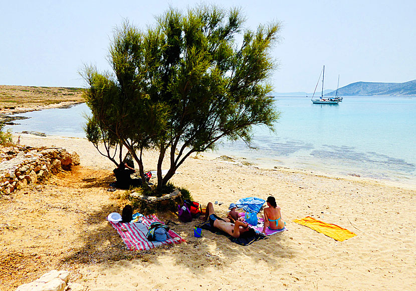 Sun beds and shady trees at Pori beach on Koufonissi.