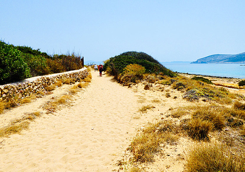 Don't miss Fanos and Platia Punta beaches after you've had lunch at Finikas Taverna in Koufonissi.