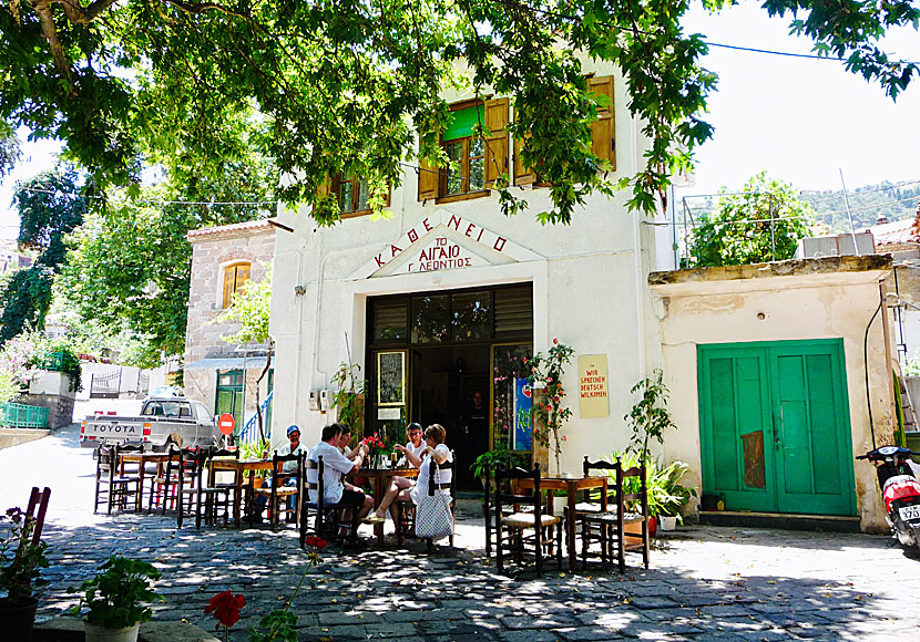 Café in Antissa. Lesvos.