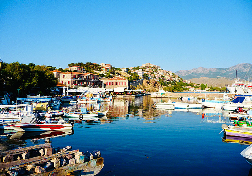 The cozy fishing port below Molyvos in Lesvos.