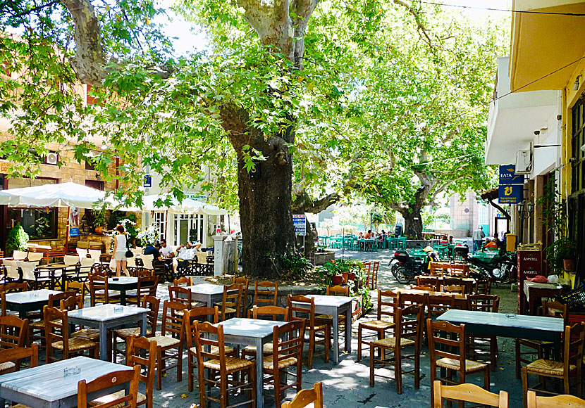 The square in Antissa with many reataurants and cafes.  Lesvos.