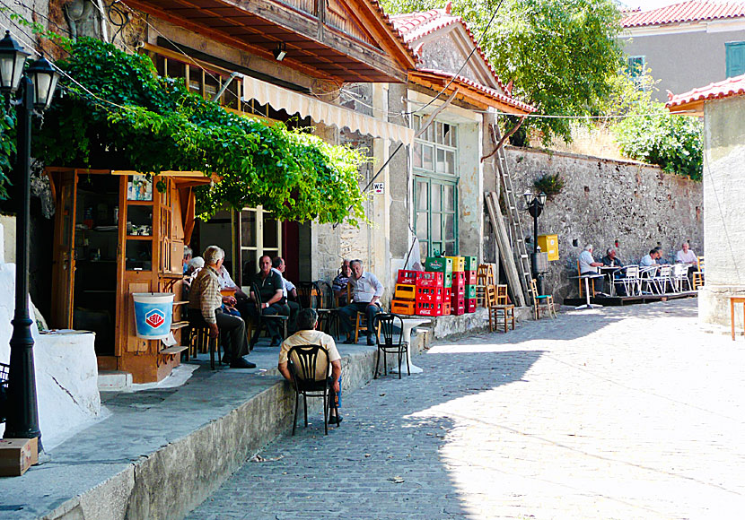 Restaurants in Vatousa. Lesvos.