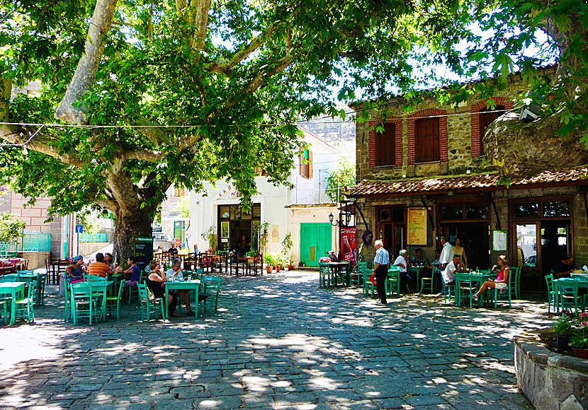 The village of Antissa on Lesvos in Greece.
