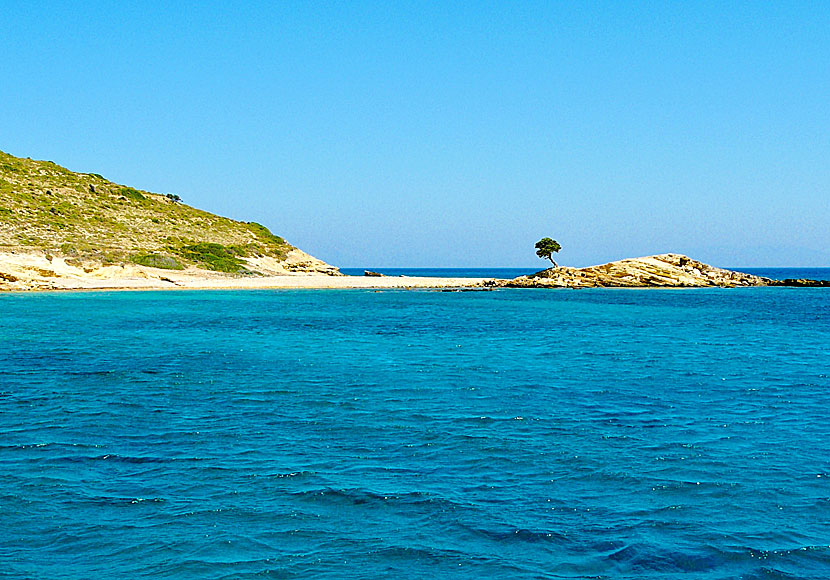 Monodendri is the official nudist beach of Lipsi and takes about 50 minutes to walk to.