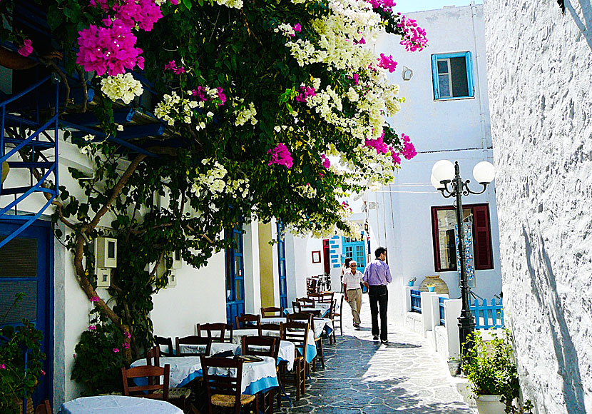 One of several cosy alleys and tavernas in Plaka.