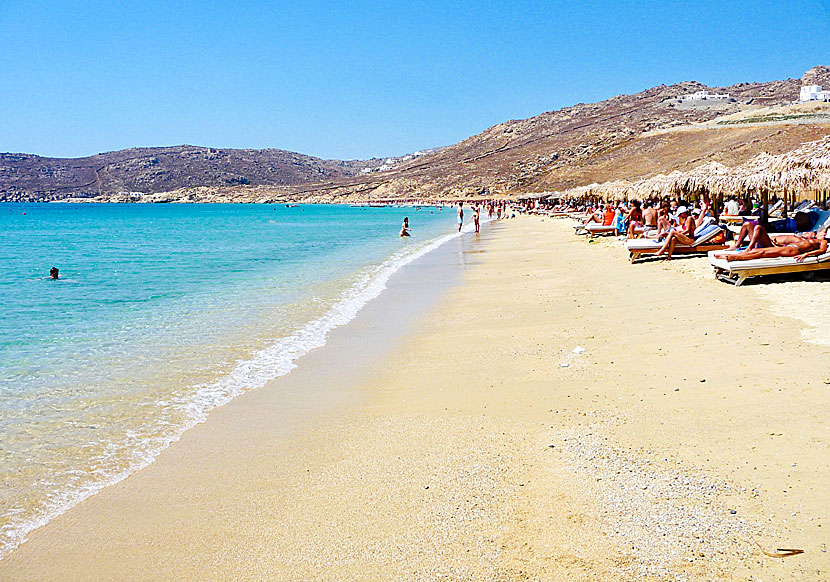 The best beaches on Mykonos. Elia beach.