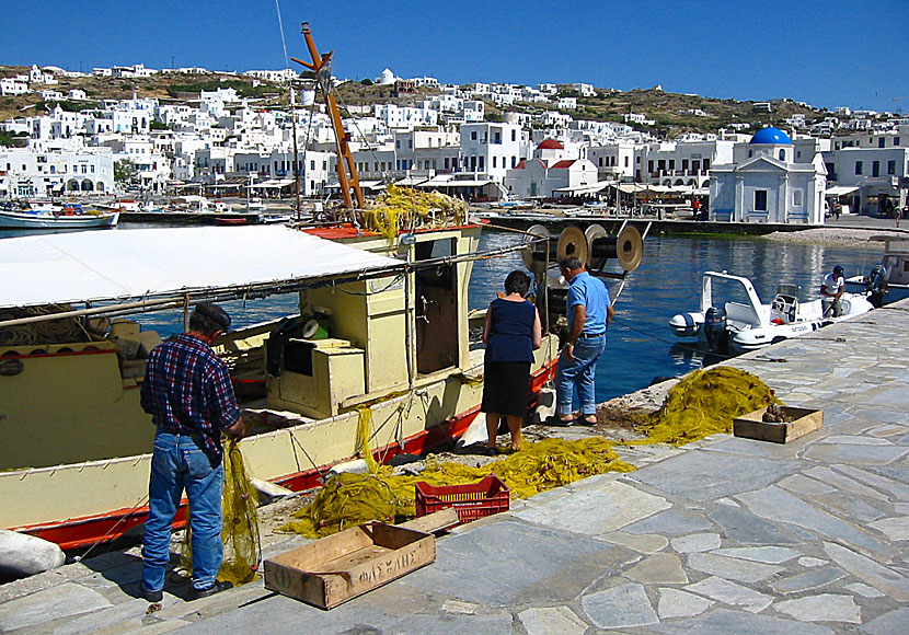 The small port in Mykonos Town.