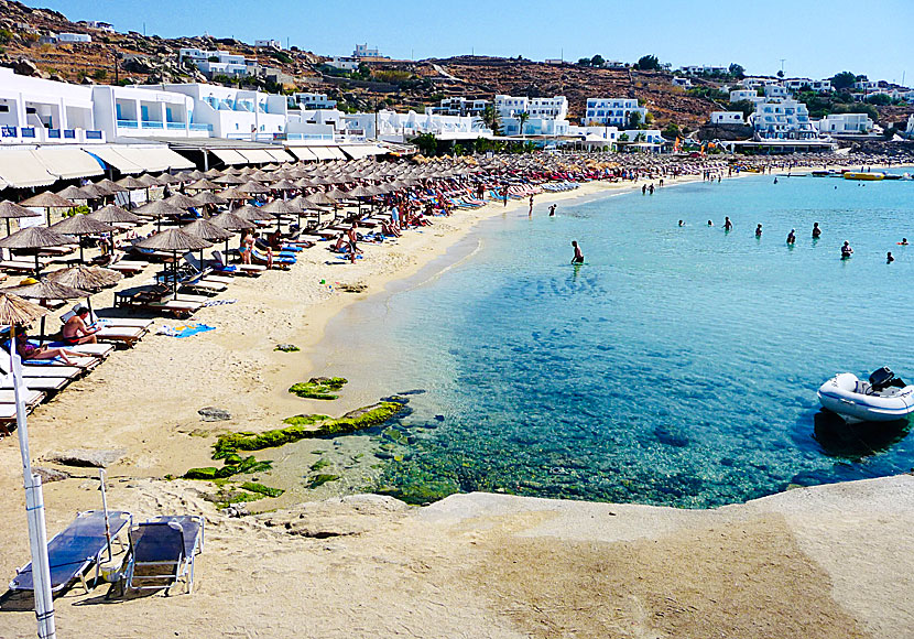 The best beaches on Mykonos. Platis Gialos beach.