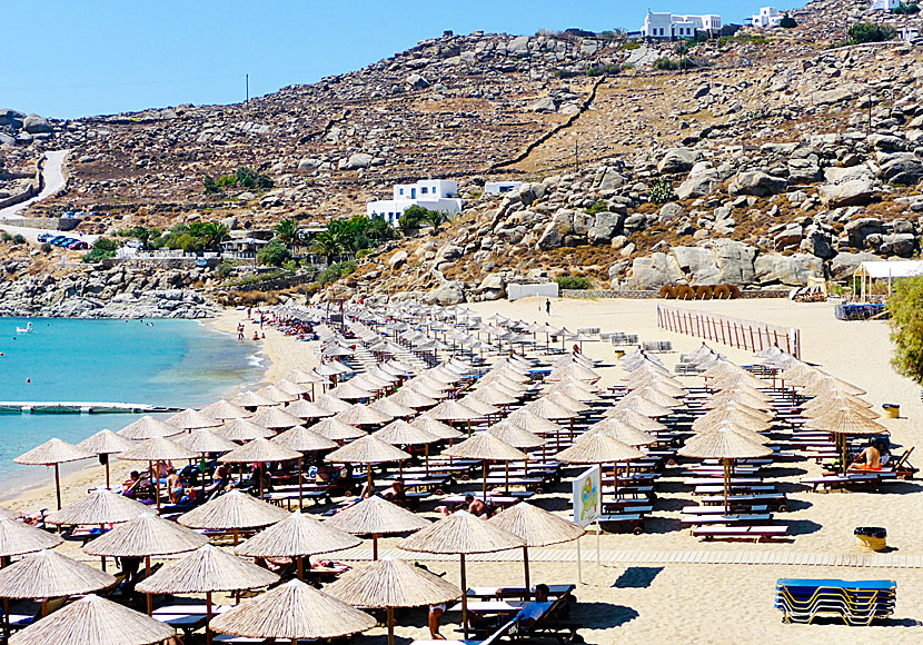 Expensive sunbeds at Super Paradise beach on Mykonos.