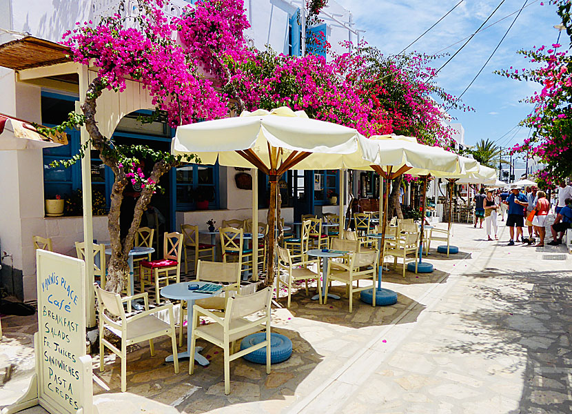 Bougainvillea in Chora on Antiparos in Greece.