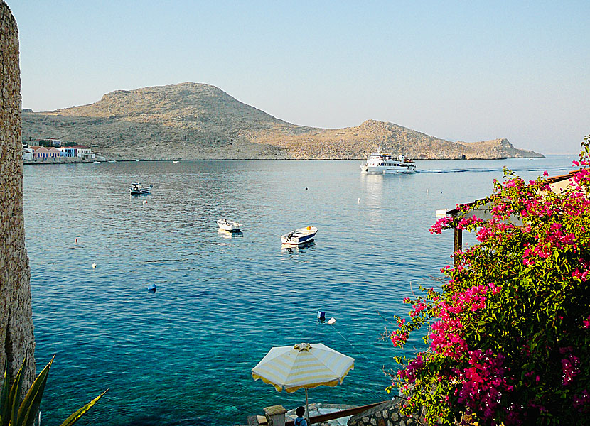 Bougainvillea in Emborio on Chalki in Greece.