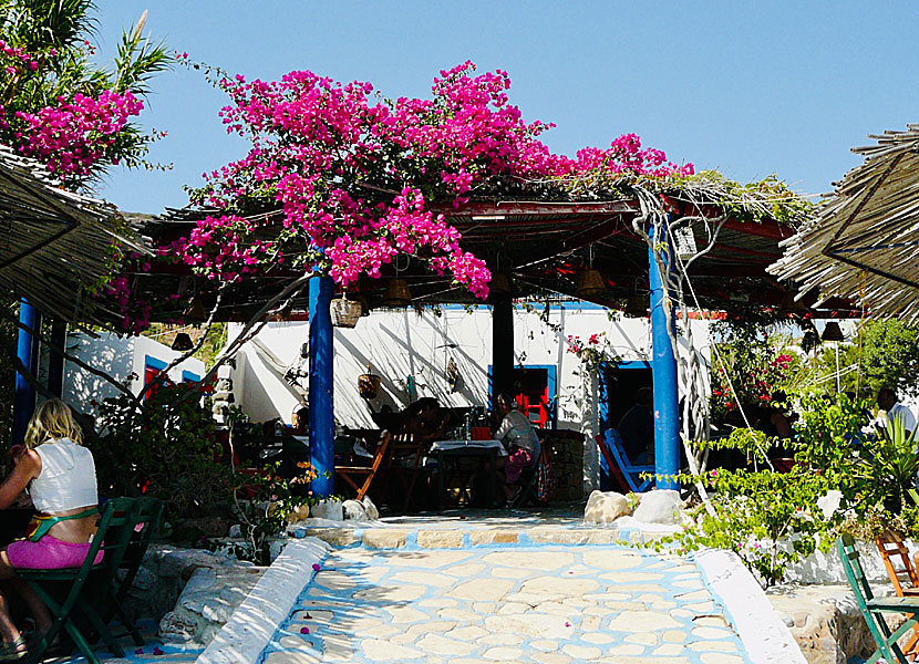 Bougainvillea in Katsadia on Lipsi in Greece.