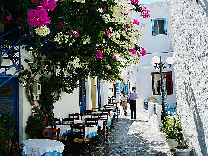 Bougainvillea in Plaka on Milos in Greece.