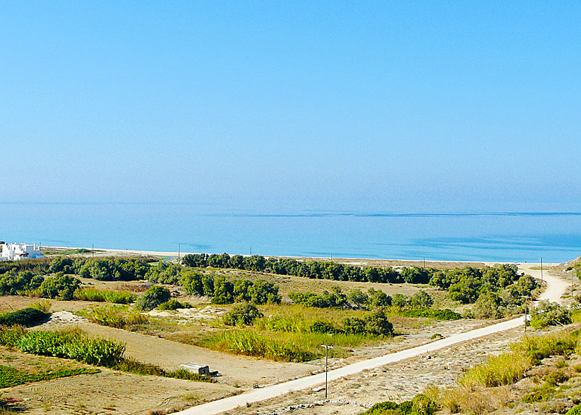 The best beaches on Naxos. Ammitis beach.