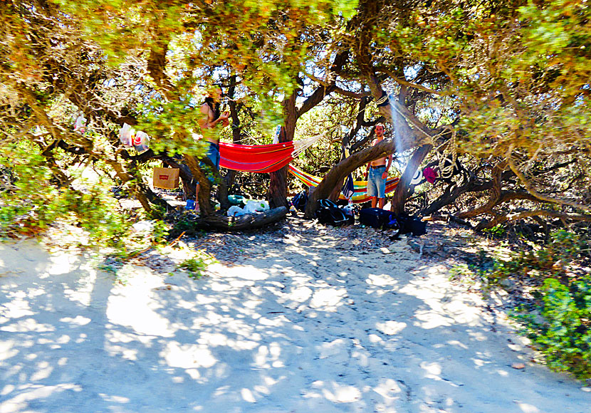 In Aliko grows Naxos famous cedar tree. Camping is common in the sand dunes.