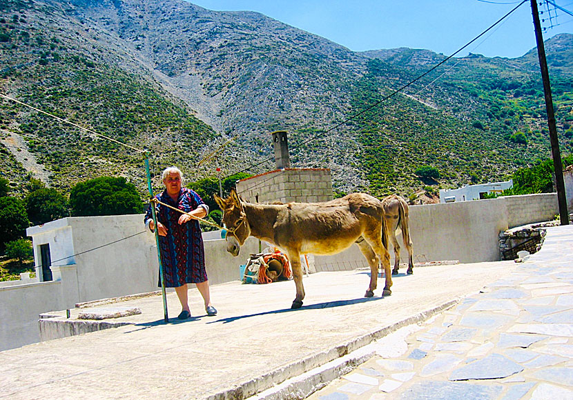 In Danakos, time has stood still. Naxos.