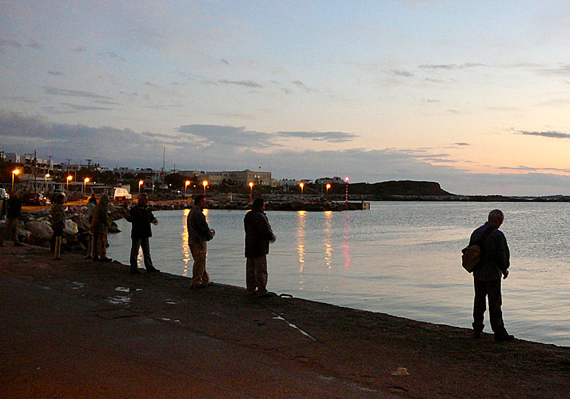Fishing for calamari and octopus on Naxos in Greece.