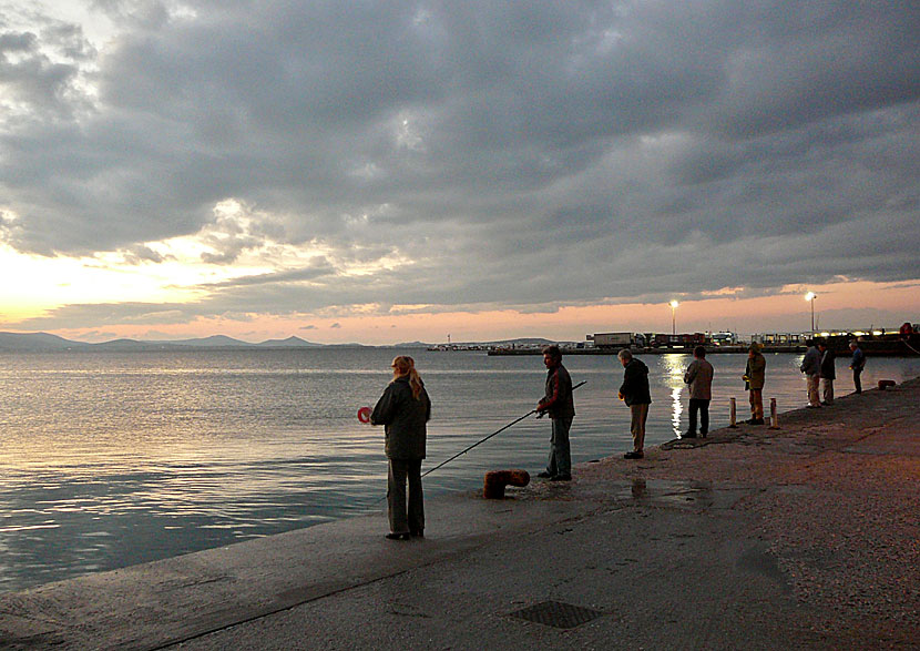 November is the best time to fish fresh calamari in Greece.