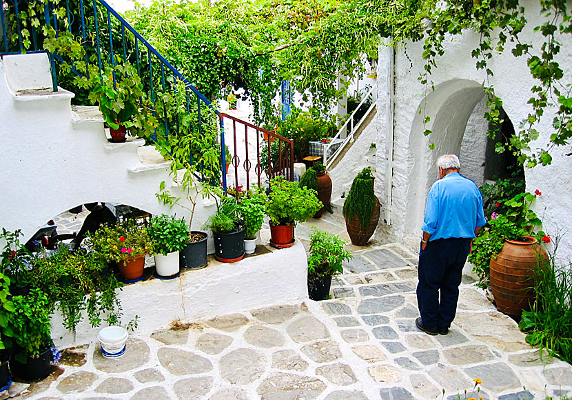Flowers and alleys in the mountain villages of the Naxos countryside.