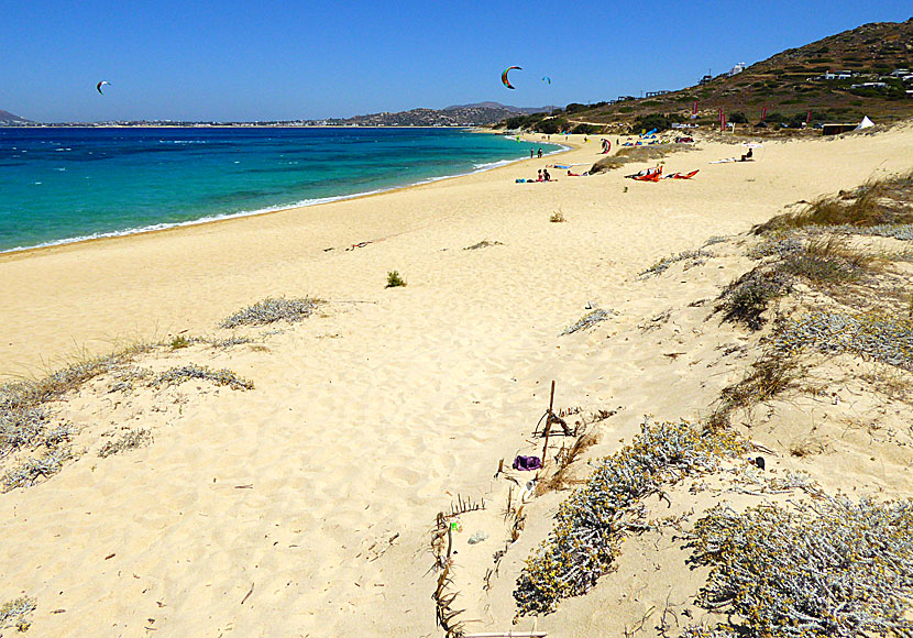 Mikri Vigla beach in Naxos.