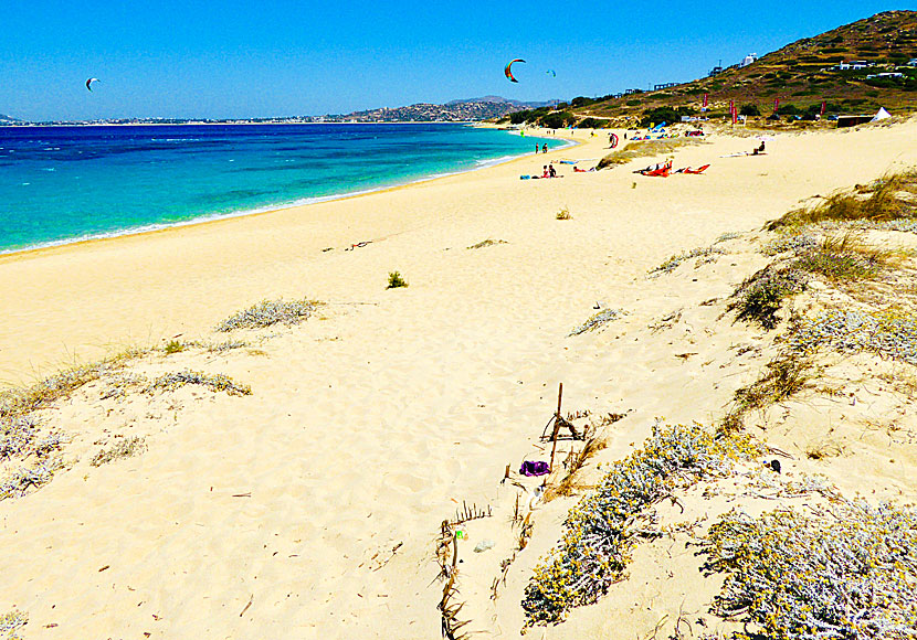 Mikri Vigla beach in Naxos.