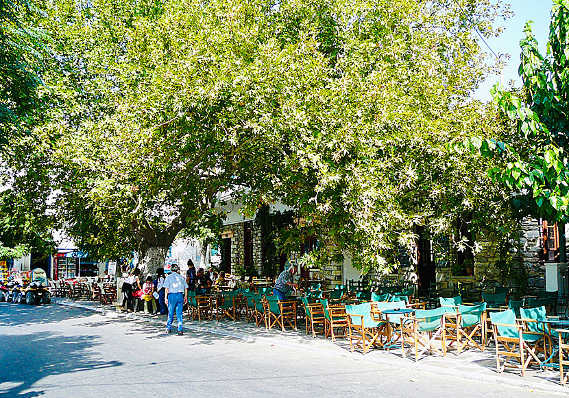 Mmain square and tavernas in Filoti. Naxos.