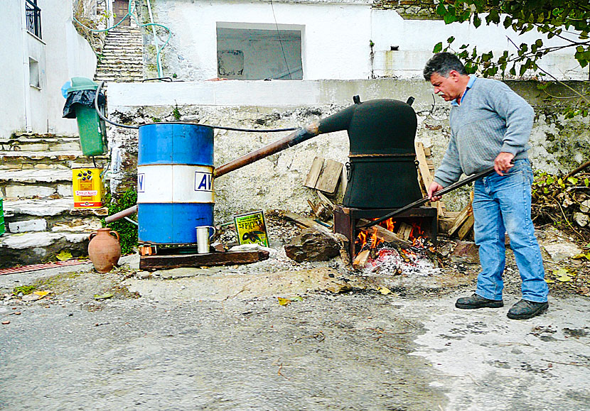 Koronida. Naxos.