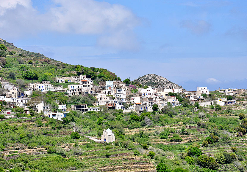 The mountain village Skado on Naxos' second highest mountain with its 999 meters above sea level.