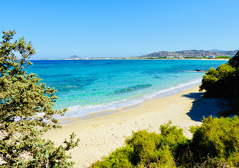 The best beaches on Naxos. Orkos beach.