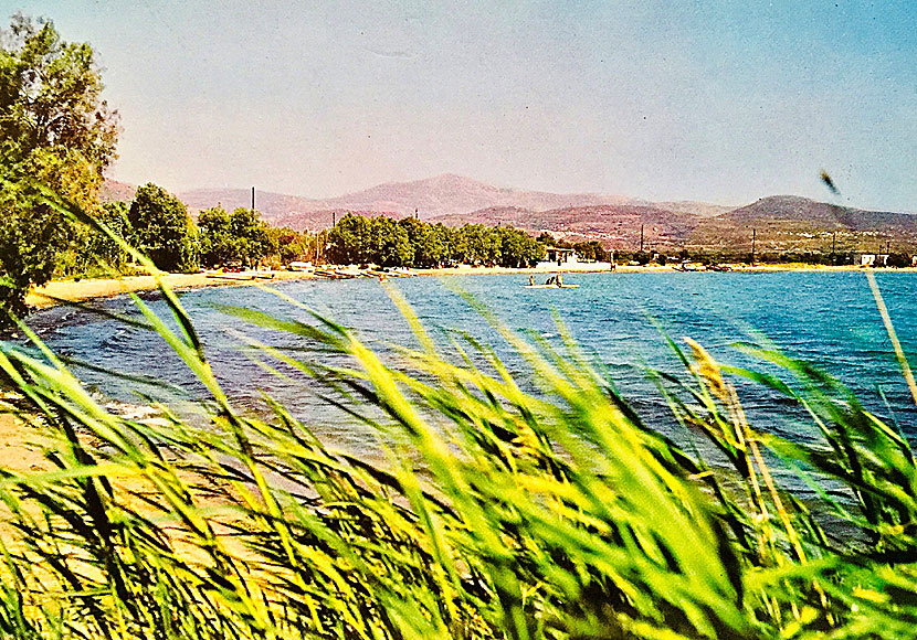 40 years ago there was only one hotel and one taverna in Agios Georgios today the beach has grown together with Naxos town.