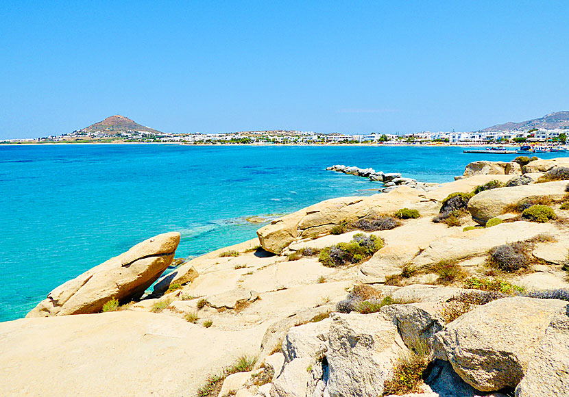 The shark in Agia Anna on Naxos.