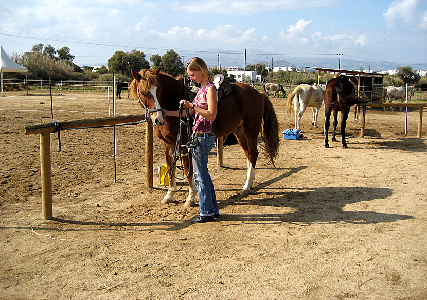Stamatis Horse Riding Centre on Naxos.