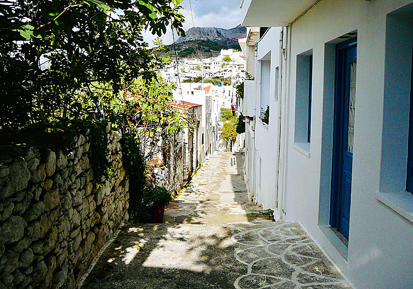 Filoti is the second largest town of Naxos and has approximately 1,500 inhabitants.
