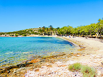 Fine and child-friendly sandy beaches on Paros in the Cyclades.