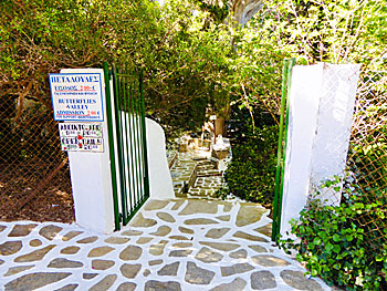 Butterflies valley on Paros.