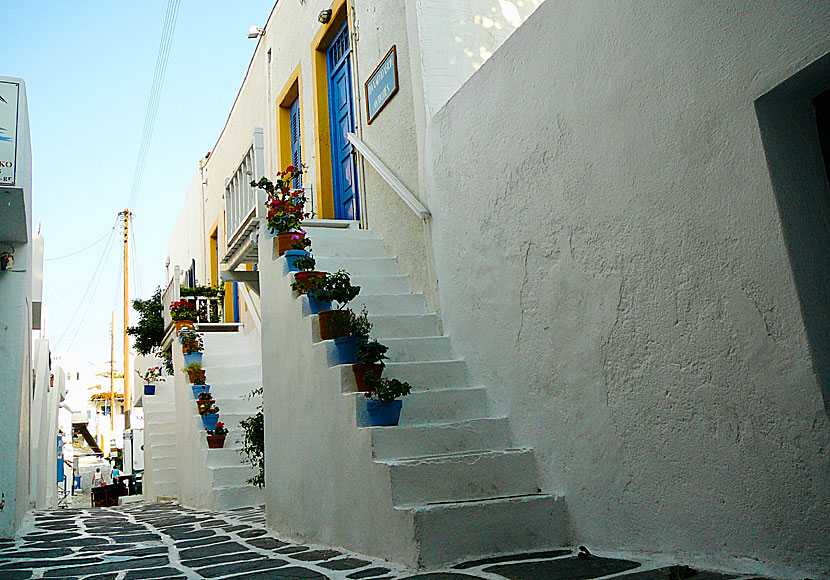 One of many beautiful alleys in the car-free parts of Naoussa.