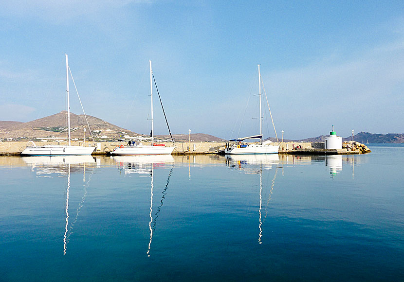 The sailing port in Naoussa attracts many sailors.
